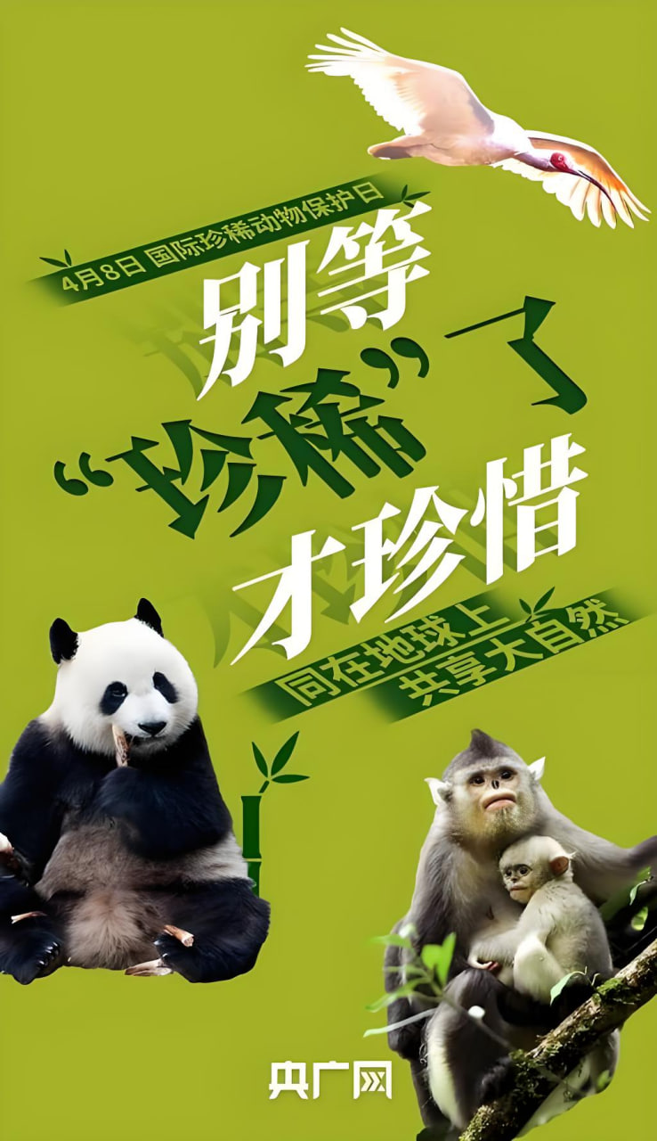 明星约会被拍